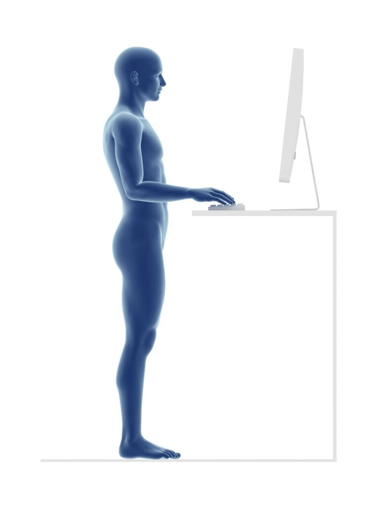 comfortable ergonomic desk setup showing proper monitor height chair posture and keyboard placement